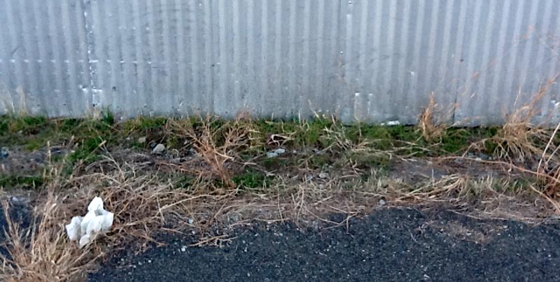 Weeds Before Weeds Before