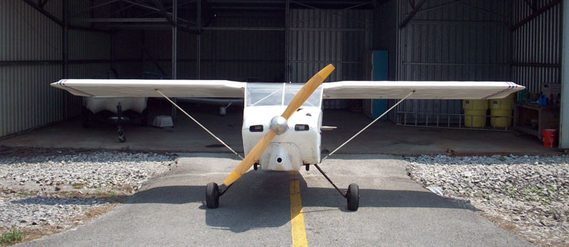 Wittman Tailwind W8 front